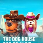 The Dog House – Dog or Alive